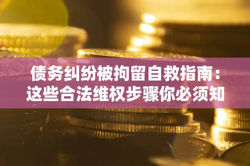 济南债务纠纷被拘留自救指南：这些合法维权步骤你必须知道！