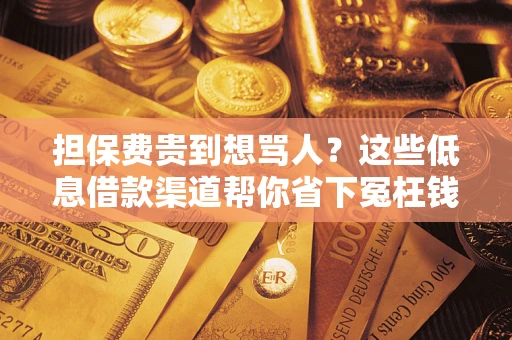济南担保费贵到想骂人？这些低息借款渠道帮你省下冤枉钱