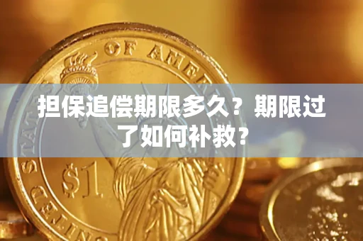 济南担保追偿期限多久？期限过了如何补救？