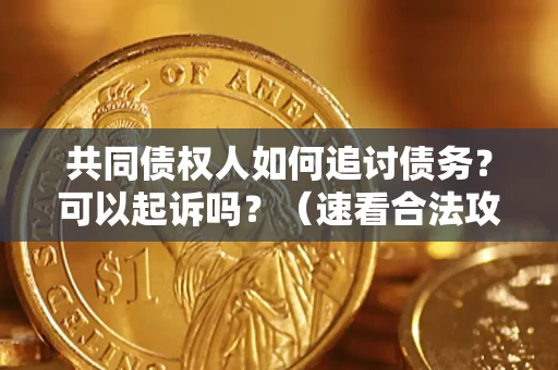 济南共同债权人如何追讨债务？可以起诉吗？（速看合法攻略）
